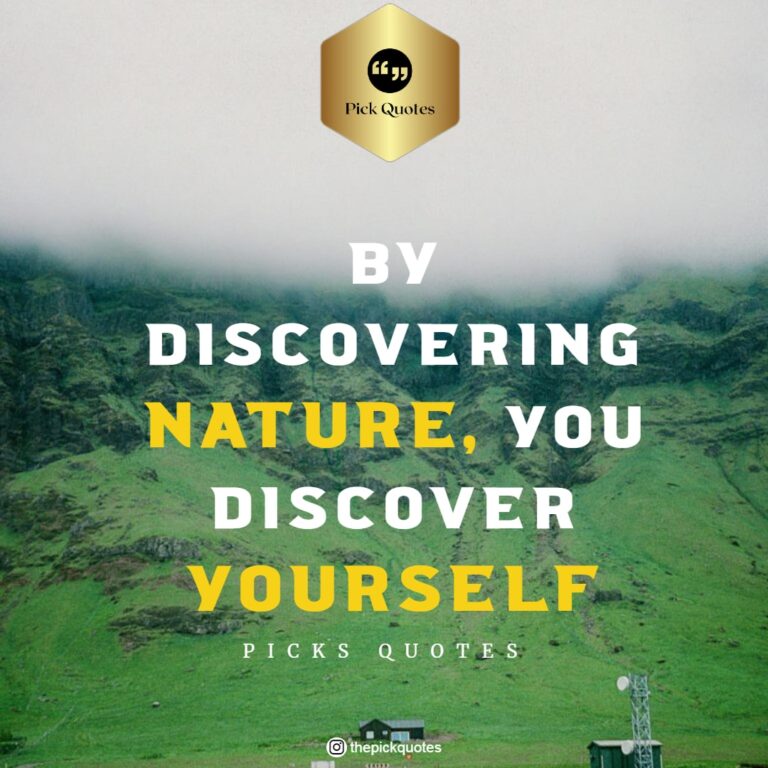 essay about discovering yourself